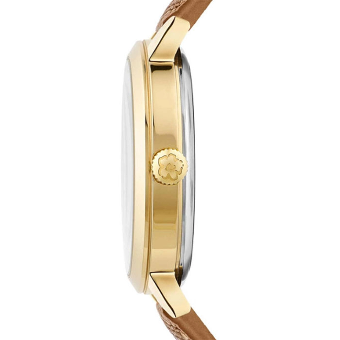 ΡΟΛΟΙ TED BAKER BKPLIS303 TED BAKER Lilabel Brown Leather Strap