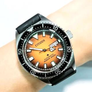 ΡΟΛΟΙ  CITIZEN   NY0120-01ZE CITIZEN Promaster Divers Automatic Black Polyurethane Strap
